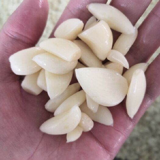 射阳县蒜米 混级统货 多瓣蒜