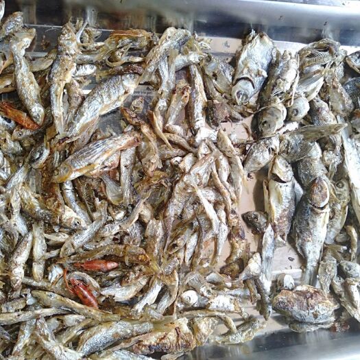 蕲春县鲫鱼干