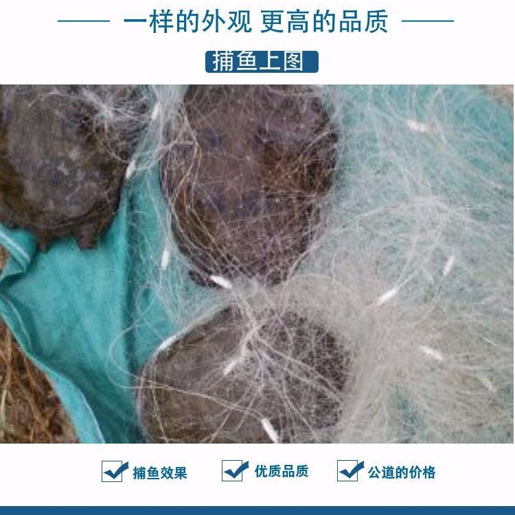 渔具 专捕甲鱼草鱼花白鲢网
