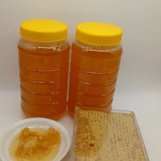 精河县 红枸杞蜂蜜