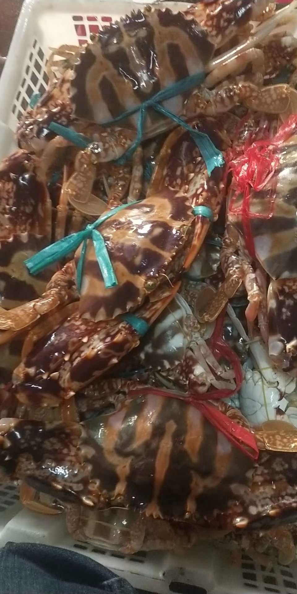 蓝花蟹 天然花蟹，红蟹