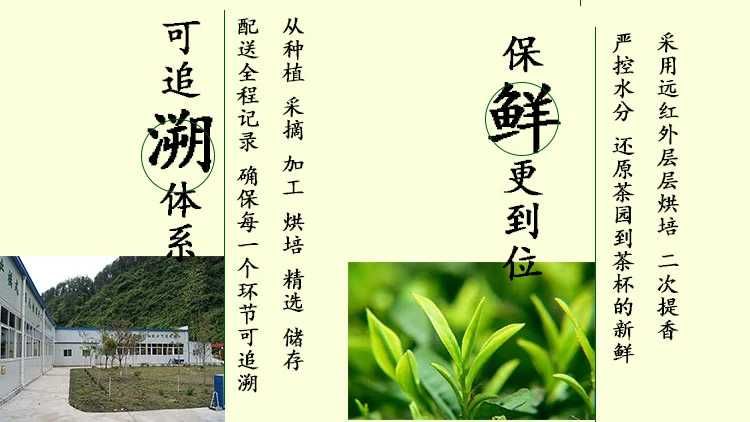  汉中毛尖汉中绿茶定军毛尖500g铁盒装，高山富硒茶。
