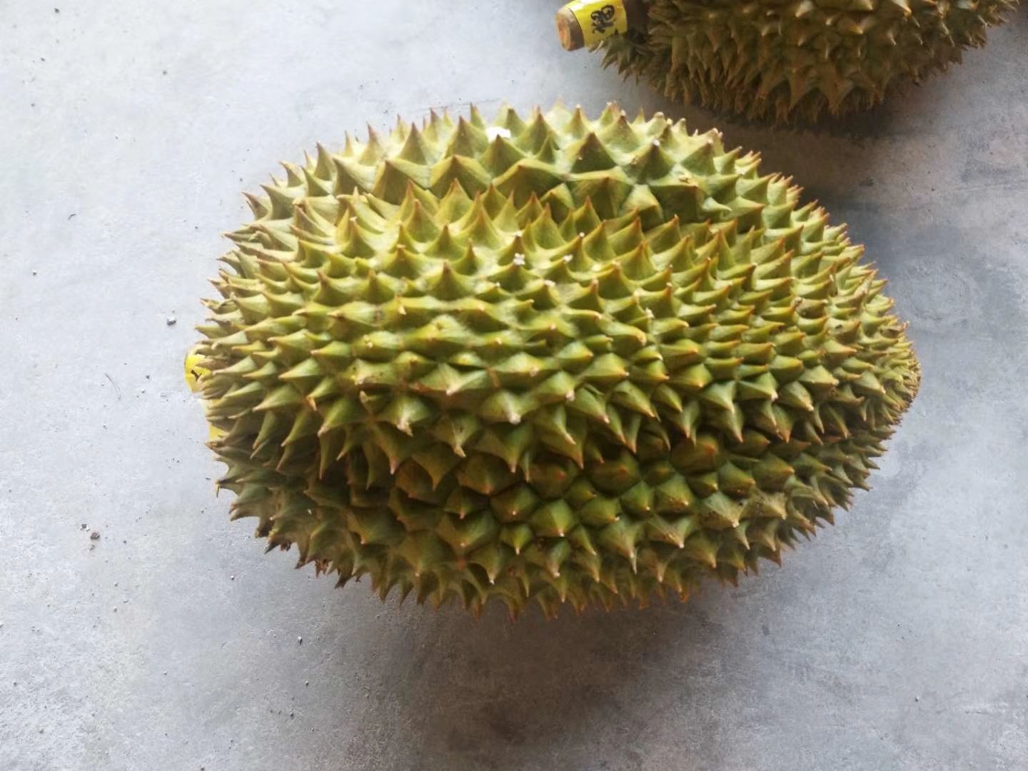 金枕头榴莲 金枕一级，