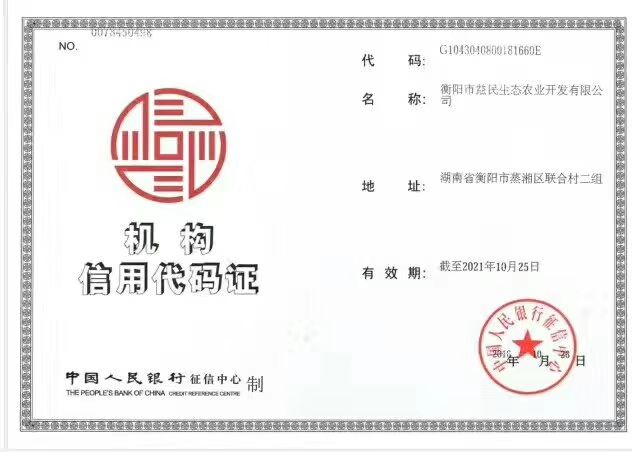 K9鸡苗  K9麻黄公鸡苗 包运输包出厂疫苗包运输成活保质保量