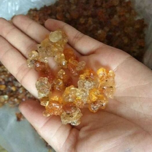 六安 黄胶  黄桃胶