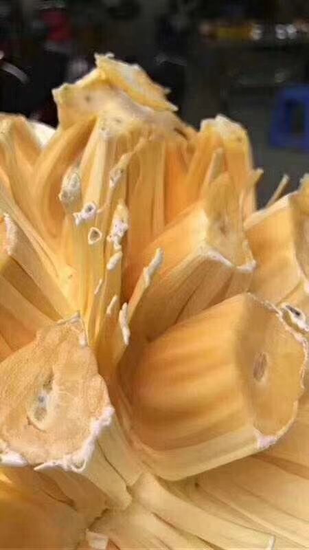 越南红心菠萝蜜  接整柜 4.2米客户