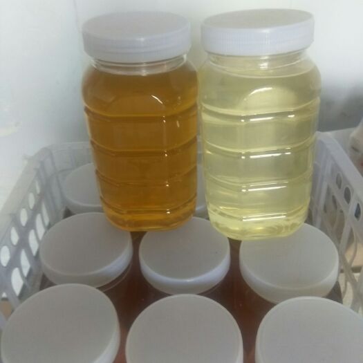 招远市土蜂蜜 塑料瓶装 1年 