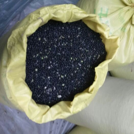 昌图县青仁黑豆