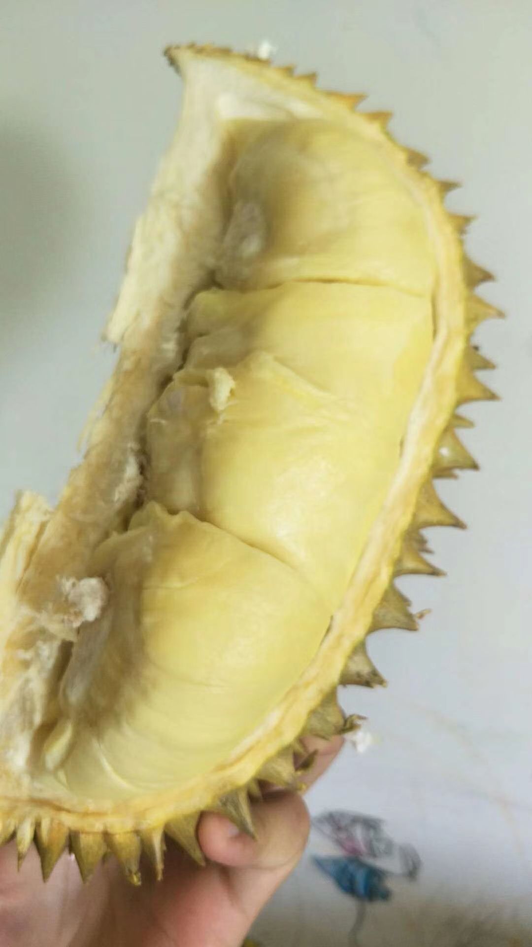 金枕头榴莲 金枕一级，