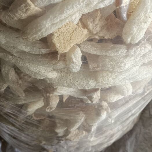 将乐县长裙竹荪 一级 干竹荪
