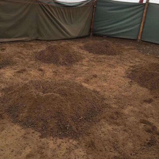 红原县 需要羊粪的客户加紧下单，羊粪主产地下月开始逐步长价了。