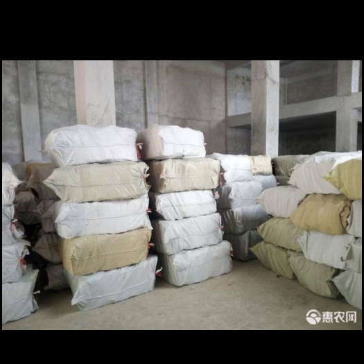 容县肉桂 每年低价出售