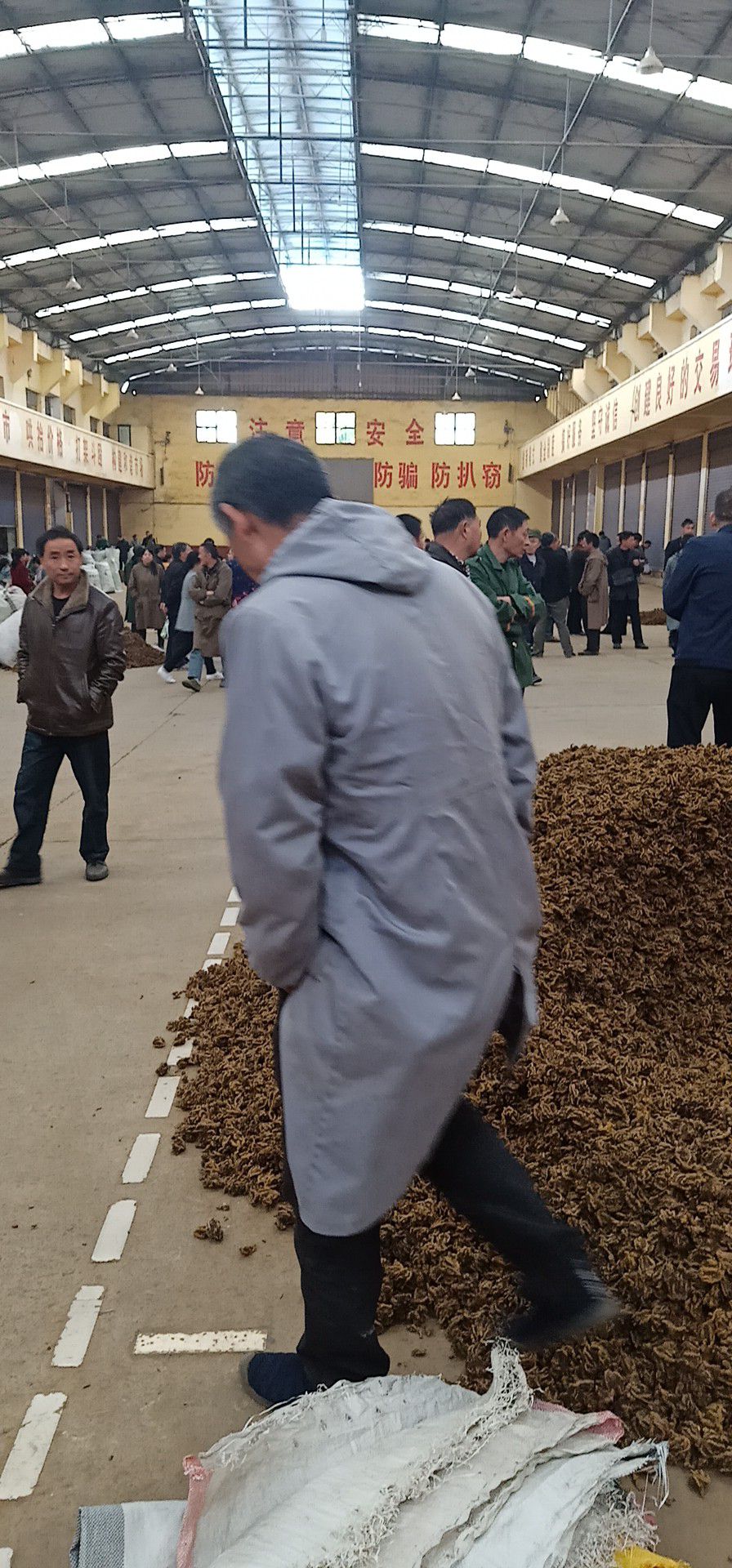 黄连 农户基地直供优质支连，统连，鸡爪连