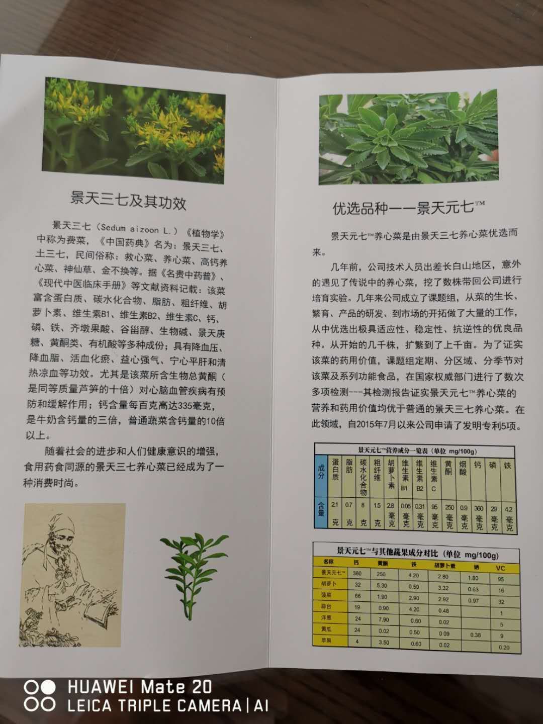 大包装景天三七粉