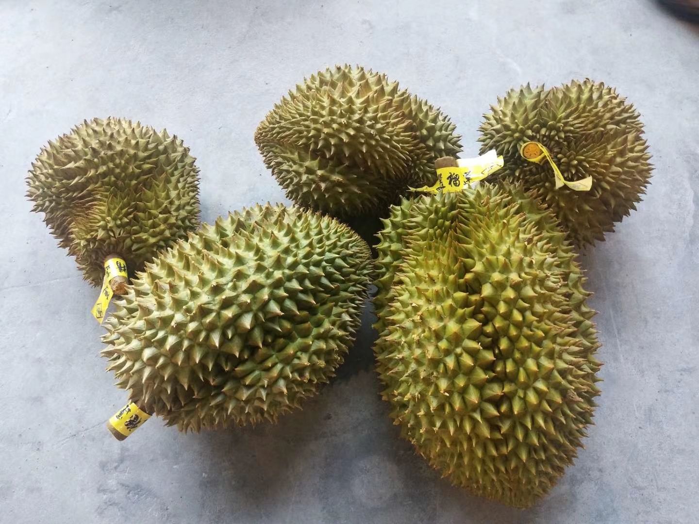 金枕头榴莲 金枕一级，