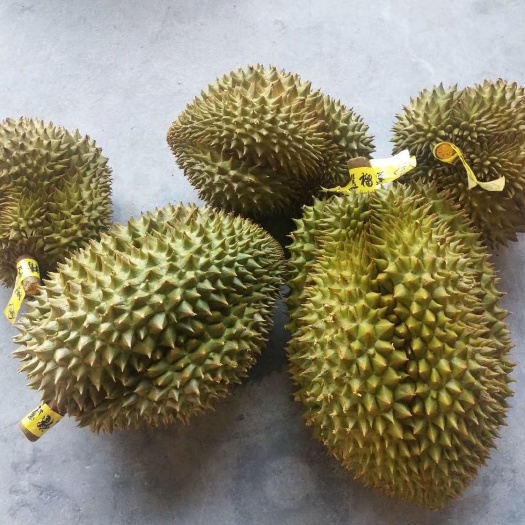 凭祥市金枕头榴莲 金枕一级，