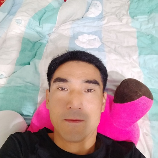 眉山白鲢鱼苗
