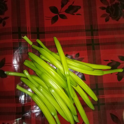合阳县普通黄花菜 一级 散装