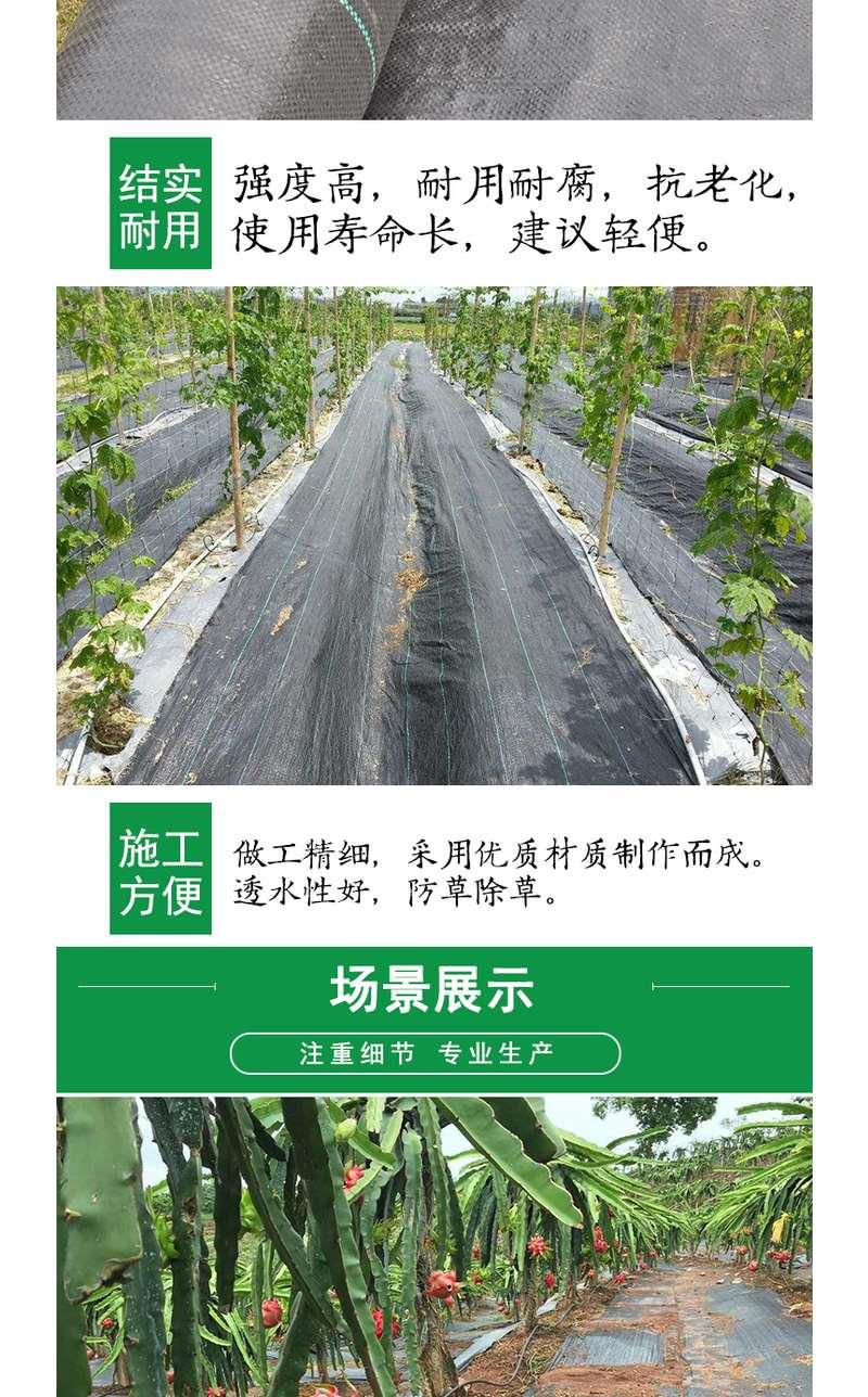 防草布，防草除草抗老化透气性强保温保湿防腐省时首力质量5年