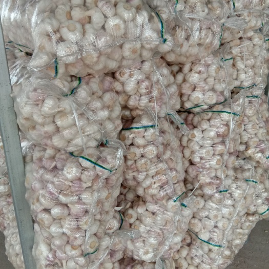 邳州市白皮大蒜 邳州白蒜