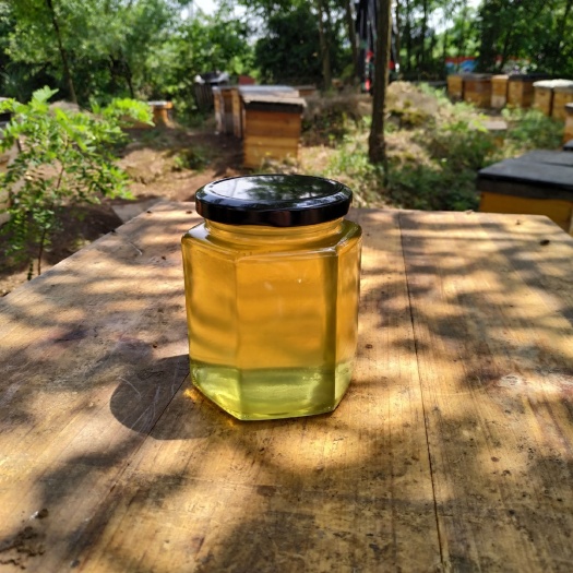 普定县洋槐蜂蜜  贵州蜂场直供洋槐蜜纯正原蜜成熟洋槐蜜蜂发零售