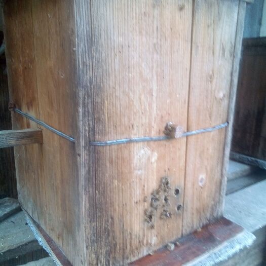 建始县 百花蜜 纯正蜂蜜四季蜜一年取一次蜜