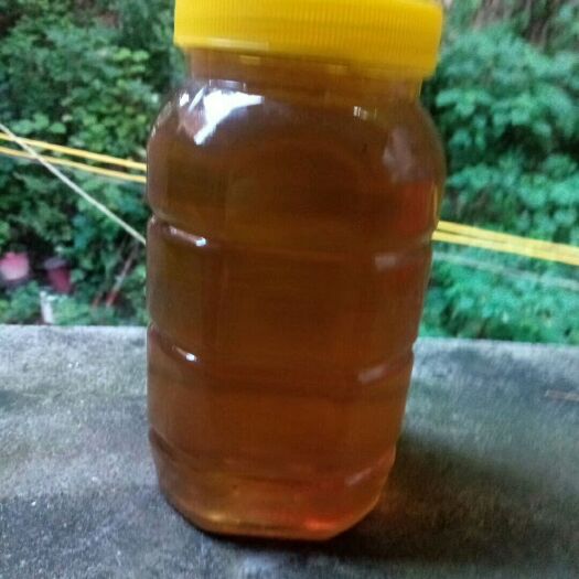 桂东县 天然蜂蜜