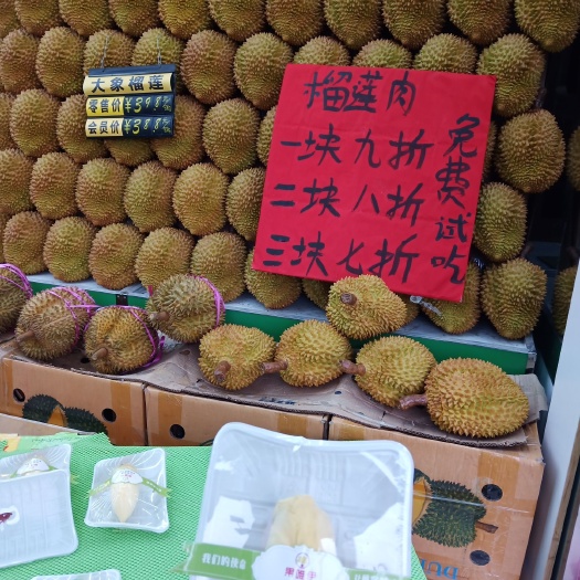 沈阳 泰国大象榴莲，品质保证。味纯正