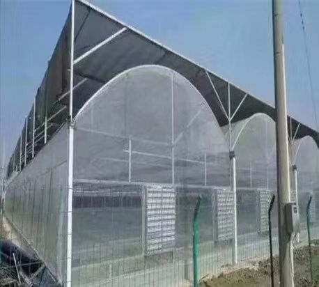 大棚杆 本公司专业生产大棚管