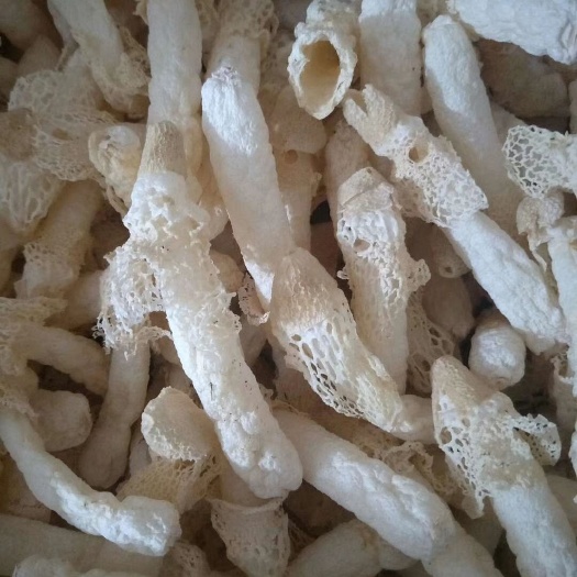 安龙县红托竹荪 特级 干竹荪