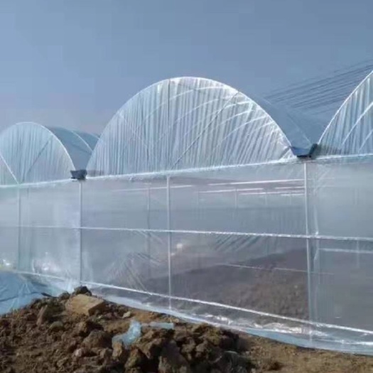 天津连栋棚 我公司专业生产大棚管大棚配件