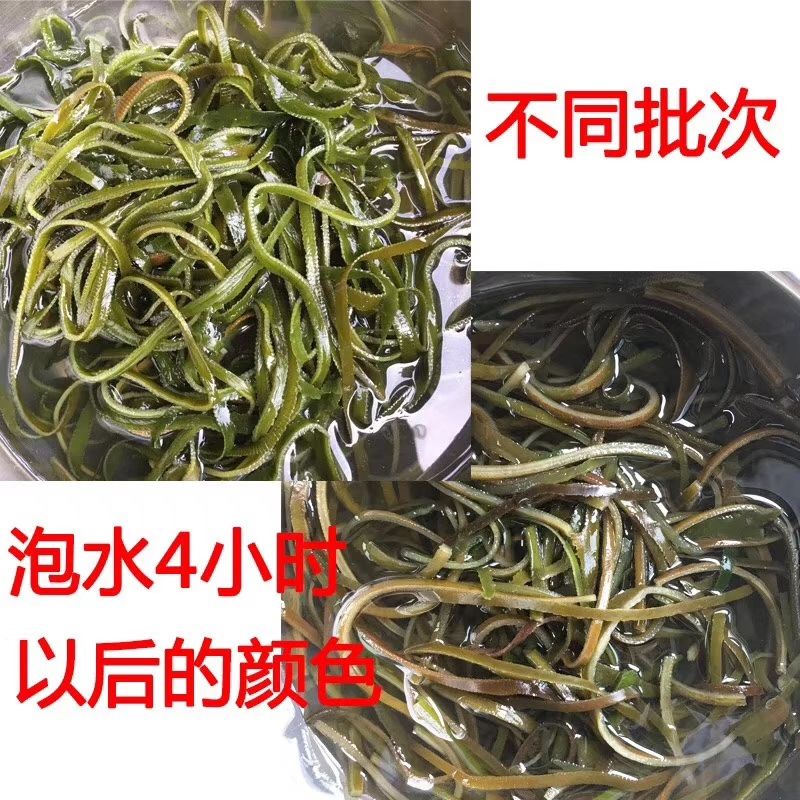 批发烘干盐渍海带丝藻类干货干海带丝跑江湖摆地摊地货源