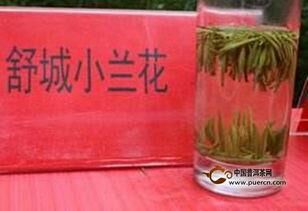 舒城县六安舒城小兰花 批发零售