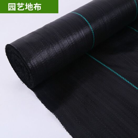 临沭县 厂家直销除草布 防草布  新料pp塑编地布 规格定制