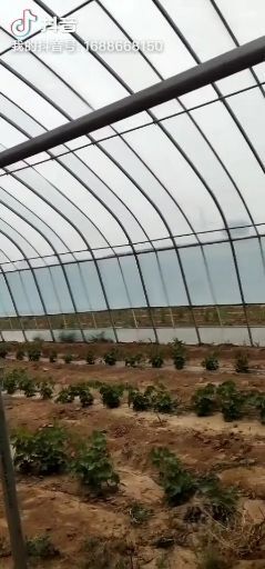 天津蔬菜大棚 椭圆管大棚，跨度10米  顶高4米   间高1.7米