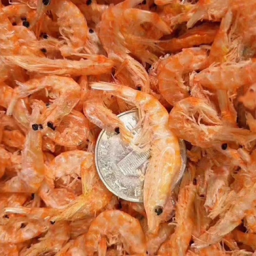 滨州深海南极磷虾