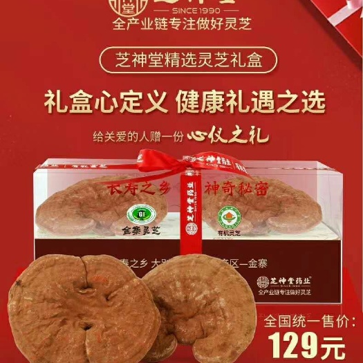 金寨县透明盒 大别人赤芝