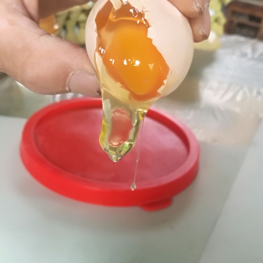 辉县市精选优质金丹生态柴草蛋，系精品新鲜，无抗，有捡验报告，