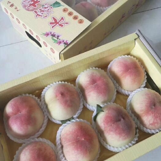 无锡 无锡阳山水蜜桃