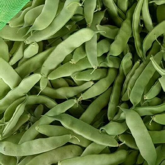 公主岭市质量杠杠好的油豆角