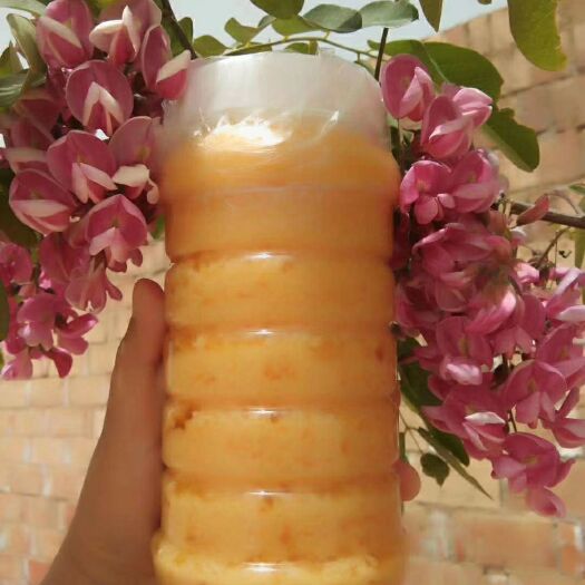 和静县新疆罗布麻蜂蜜 塑料瓶装 2年以上 95%以上