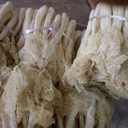南平 天然竹荪  营养价值高