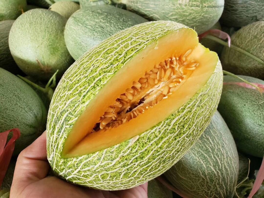 红心脆哈密瓜  西洲蜜哈密瓜带箱！新鲜上市的头茬瓜，果肉厚实，包邮