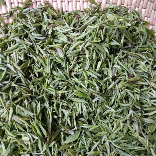 白河县 白河春燕富硒茶特级商务礼盒装200克