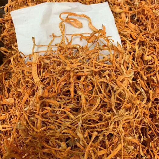 阳江 虫草花，营养丰富，富含蛋白质
