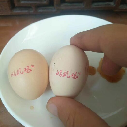 南宁 优质土鸡蛋