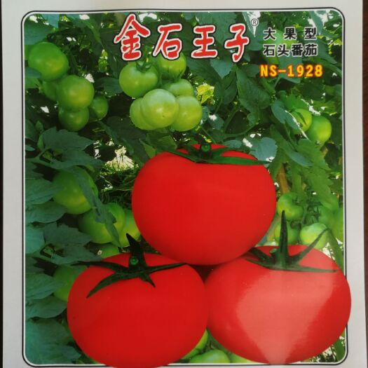 硬果西红柿种子柿子种子石头番茄种子耐裂果耐雨水果形好产量高