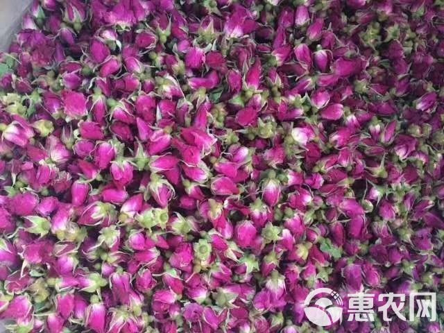  2019年新产玫瑰花蕾