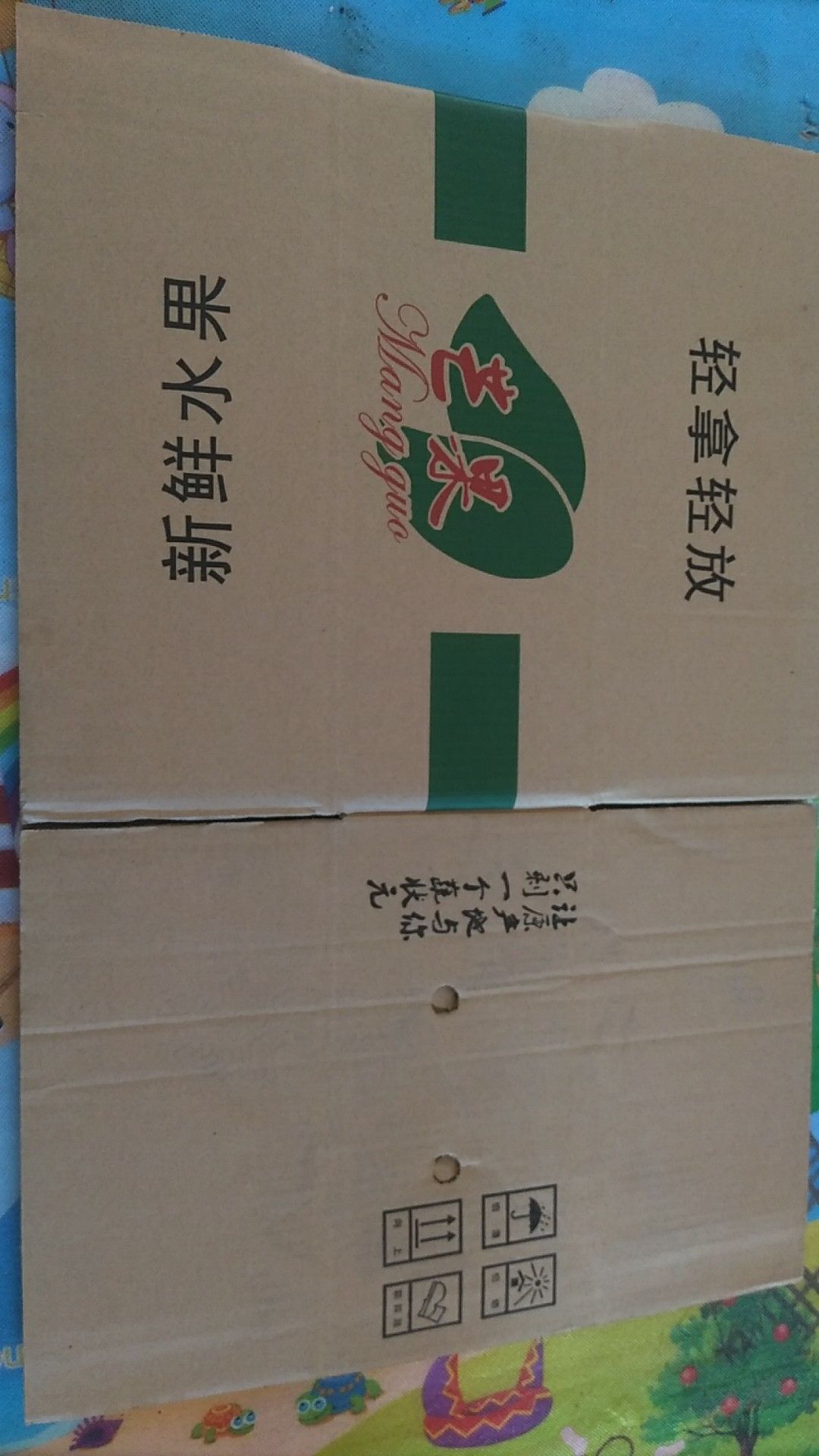  芒果纸箱处理15000只