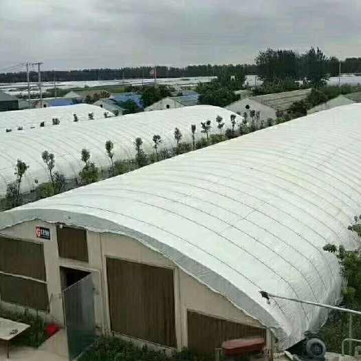 怀远县 建盛专业搭建养殖大棚